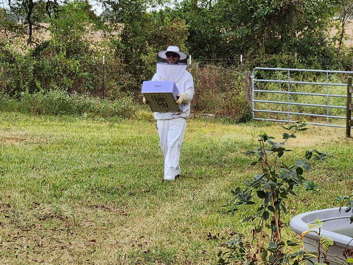 Working with our bees